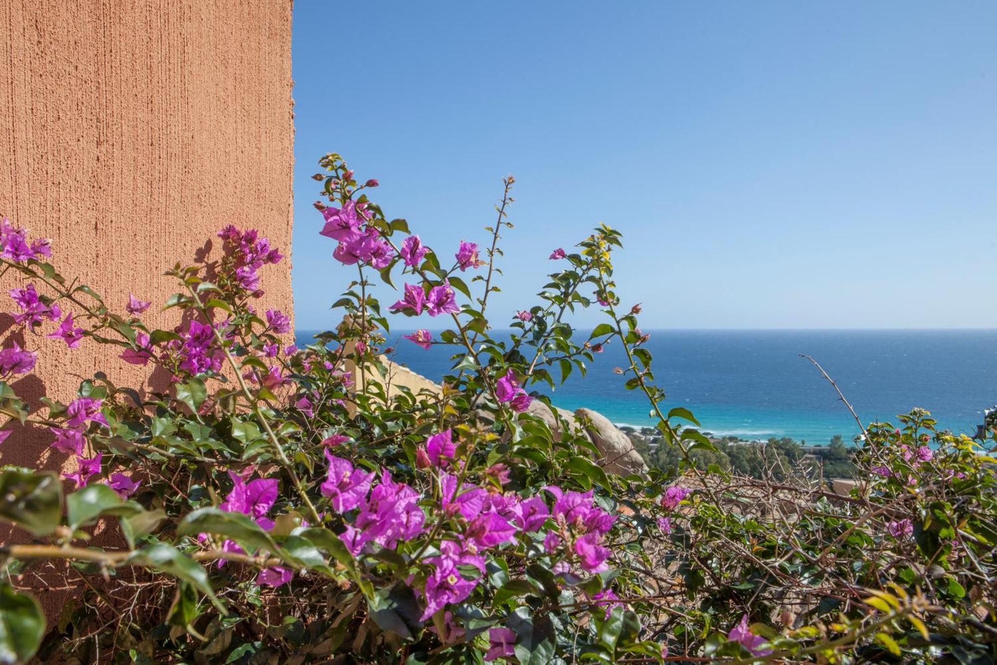 Apartment I Nidi Dei Cormorani คอสตาเรย์ ภายนอก รูปภาพ